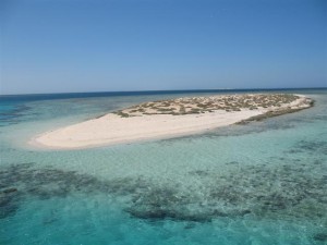 vacation offer